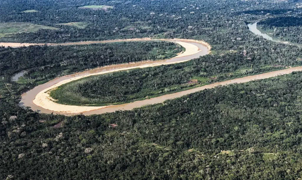Holanda anuncia US$ 500 milhões em fundo florestal criado pelo Brasil
